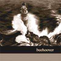 Beehoover