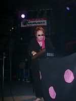 The Legendary Pink Dots