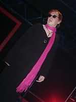 The Legendary Pink Dots