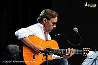 Al Di Meola