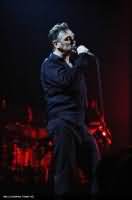 Morrissey