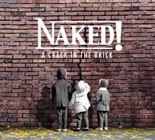 A Crack In The Brick