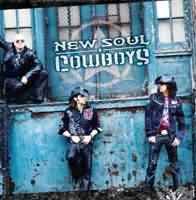 New Soul Cowboys