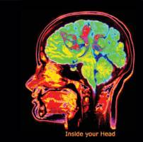 Inside Your Head