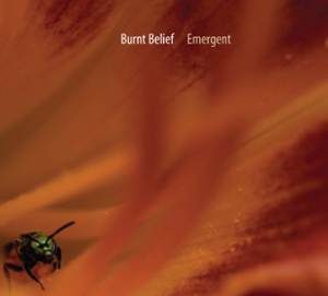 Burnt Belief / Emergent