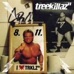 treekillaz 8.11. CD-Review