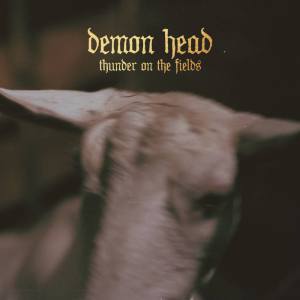 Demon Head - Thunder On The Fields