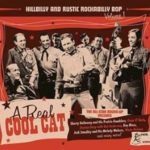 V.A. / Hillbilly And Rustic Rockabilly Bop Volume 1 - CD- Review