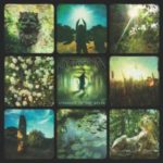 Saturnia / Stranded In The Green – CD-Review