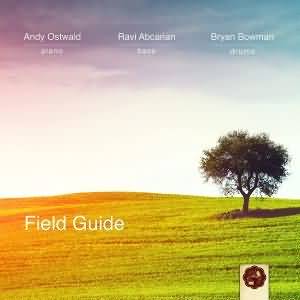 Andy Ostwald Trio / Field Guide