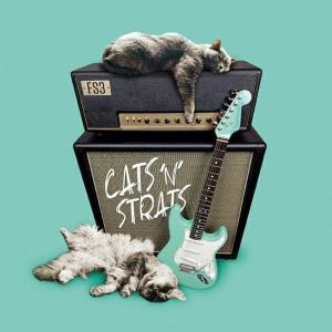 FS3 / Cats'N'Strats