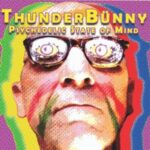 Thunderbünny / Psychedelic State Of Mind - CD-Review