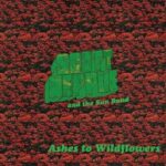 Scott Hepple And The Sun Band / Ashes To Wildflowers - CD-Review