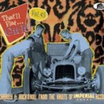 V.A. / That'll Flat...Git It! Vol. 45 - CD-Review