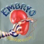 Embryos "Rocksession" auf farbigem Vinyl - News